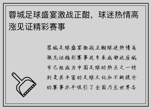 蓉城足球盛宴激战正酣，球迷热情高涨见证精彩赛事