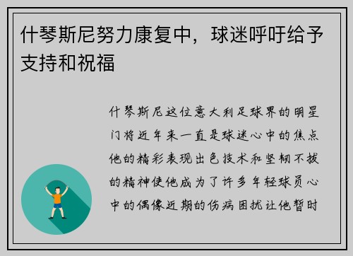 什琴斯尼努力康复中，球迷呼吁给予支持和祝福