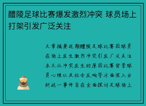 醴陵足球比赛爆发激烈冲突 球员场上打架引发广泛关注