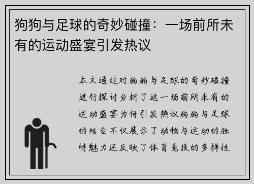 狗狗与足球的奇妙碰撞：一场前所未有的运动盛宴引发热议