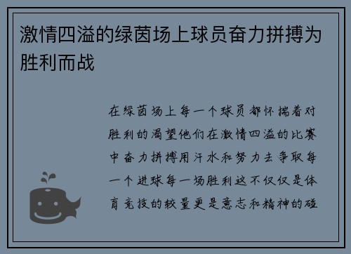 激情四溢的绿茵场上球员奋力拼搏为胜利而战