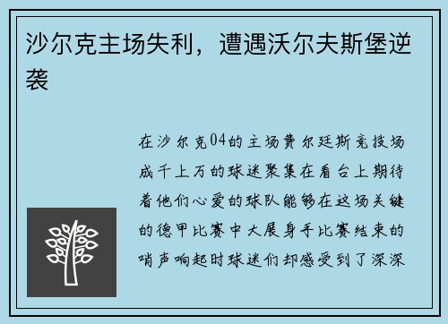 沙尔克主场失利，遭遇沃尔夫斯堡逆袭