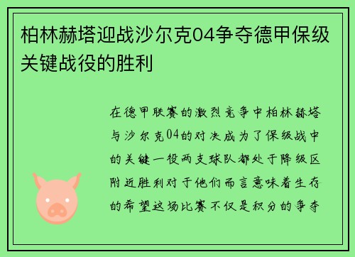 柏林赫塔迎战沙尔克04争夺德甲保级关键战役的胜利