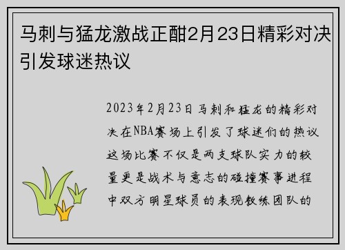 马刺与猛龙激战正酣2月23日精彩对决引发球迷热议