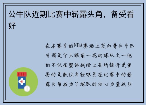 公牛队近期比赛中崭露头角，备受看好