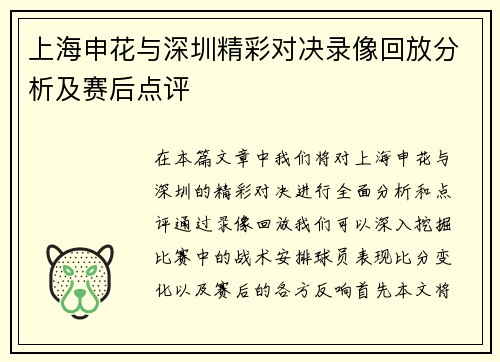 上海申花与深圳精彩对决录像回放分析及赛后点评