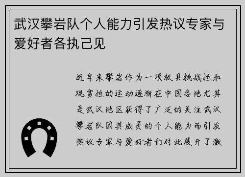 武汉攀岩队个人能力引发热议专家与爱好者各执己见